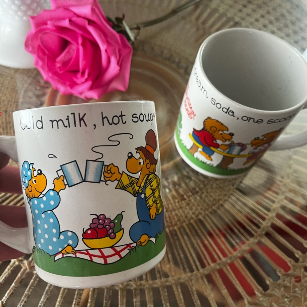 Princess house Berenstain Bears Vintage coffee mugs tea cups set collectors 1987